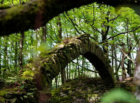 ESCAPADES EN MONTAGNE NOIRE - PRADELLES-CABARDÈS N°5 