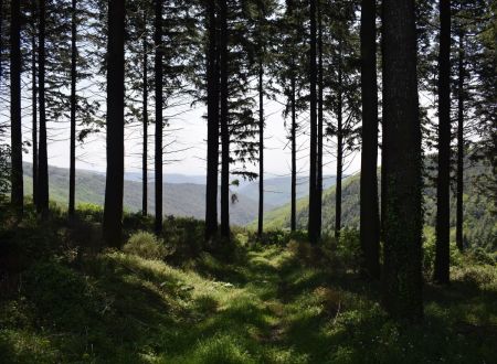 ESCAPADES EN MONTAGNE NOIRE - LES MARTYS N°8 