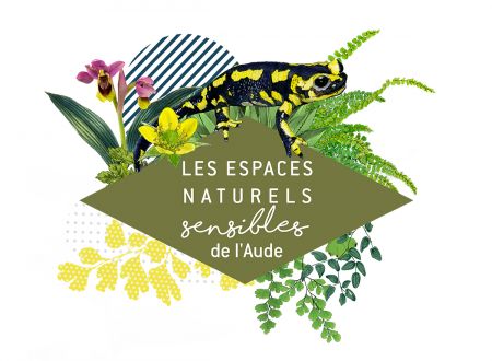 ENS - SUR LES TRACES DES PETITES BÊTES 