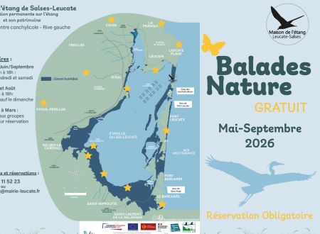 BALADE NATURE : LES OISEAUX DU BÂTI 