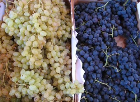 MARCHÉ DE PINET 