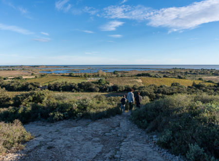 BALADE NATURE : LES ETANGS VUS D'EN HAUT 