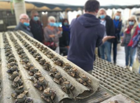 VISITE AUTOUR DE LA LAGUNE EN MINI-BUS AVEC SÈTE GRAND TOUR 