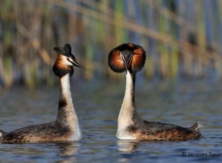 SORTIE NATURE - LES RICHESSES DU BAGNAS 