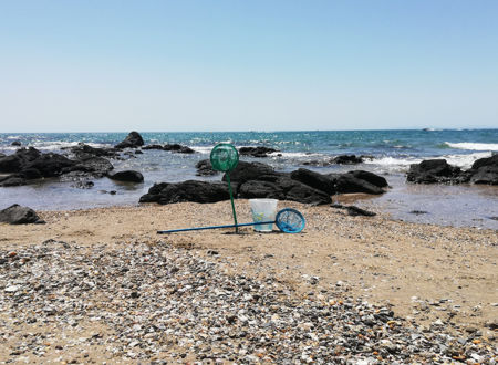 SORTIE NATURE - LES PIEDS DANS LA MER 