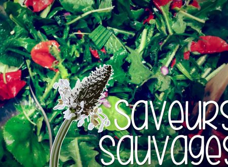 BALADE CUEILLETTE : SAVEURS SAUVAGES ! 