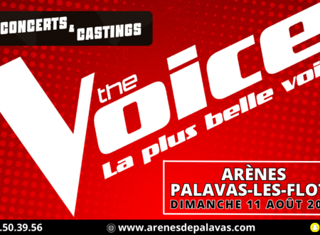 GRAND SPECTACLE LIVE THE VOICE 