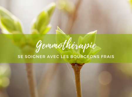 SE SOIGNER AVEC LES ARBRES, NOTRE SANTÉ EN LIEN AVEC LA PROTECTION DE NOTRE ENVIRONNEMENT 