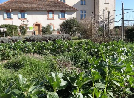 ATELIER INITIATION JARDINAGE BIO 