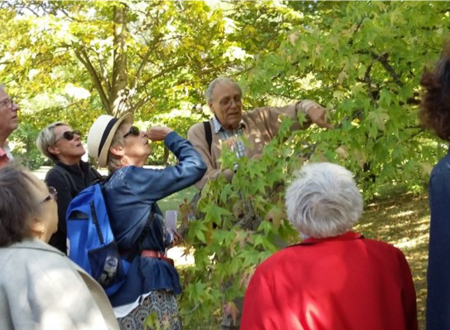 PROMENADE BOTANIQUE : LES ARBRES ONT UNE HISTOIRE... 2024 