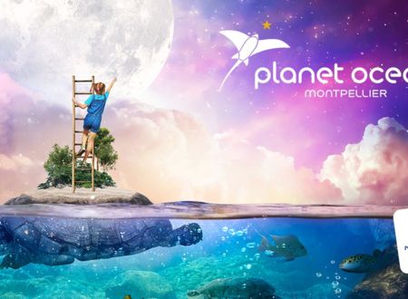 LES VACANCES D'ÉTÉ AU PLANET OCEAN MONTPELLIER 