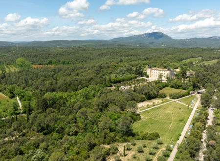 EXPOSITION : LES ARBRES S’ÉMERVEILLENT 