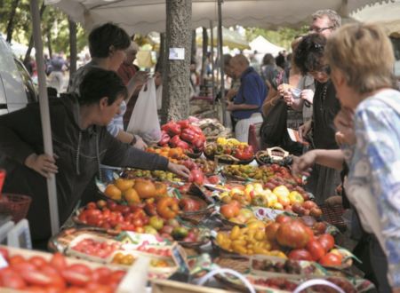 FESTIVAL DE LA TOMATE 2024 - CLAPIERS 