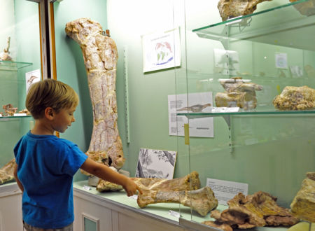 JOURNÉES EUROPÉENNES DU PATRIMOINE : VISITE DU MUSÉE PALÉONTOLOGIQUE 