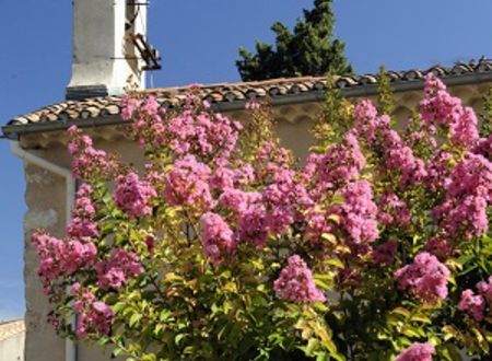 JOURNÉES EUROPÉENNES DU PATRIMOINE : VISITE DE L'ÉGLISE SAINTE-MARGUEURITE 