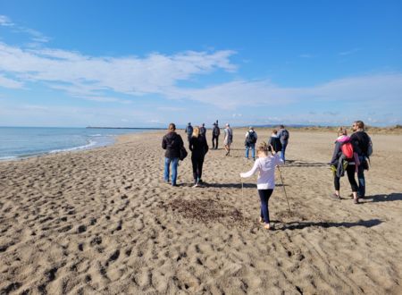 PARTEZ À LA DÉCOUVERTE DES TRÉSORS DE LA PLAGE ET DU LITTORAL ! 