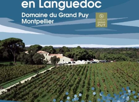 VENDANGES SOLIDAIRES AU DOMAINE DU GRAND PUY 