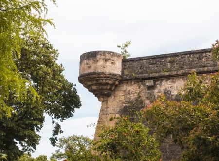 1622, LE SIÈGE DE MONTPELLIER ET LA CITADELLE 