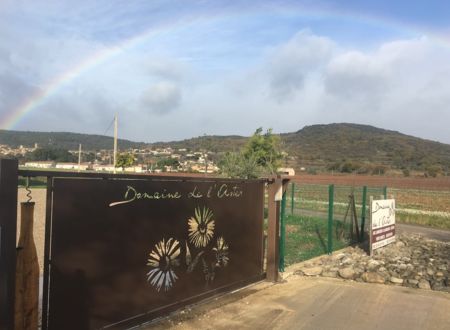 BALADE GEOLOGIQUE AU DOMAINE DE L'ASTER 