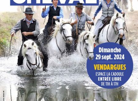 JOURNÉE NATIONALE DU CHEVAL 