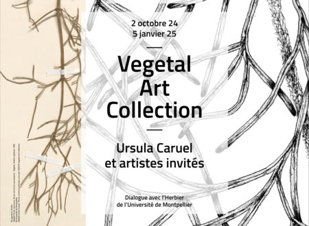 EXPOSITION "VEGETAL ART COLLECTION, URSULA CARUEL ET ARTISTES INVITÉS. DIALOGUE AVEC L