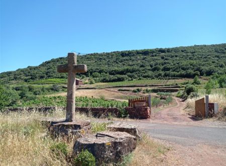 VISITE DE FERME : DÉCOUVERTE D’UN DOMAINE VITICOLE : LE MAS FRIGOULET 