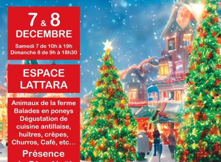 GRAND MARCHÉ DE NOËL D’ARTISANS ET DE CRÉATEURS DE LATTES 