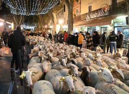 LA TRANSHUMANCE LUMINEUSE 