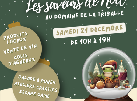 DOMAINE DE LA TRIBALLE - LES SAVEURS DE NOËL 