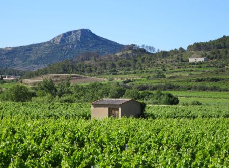 WEEK-END CÉPAGES ET TERROIRS DE FRANCE 