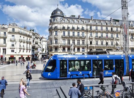 VISITE DU CENTRE VILLE ADAPTÉE - ACCESSIBLE, HANDICAP AUDITIF 