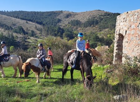 STAGE PONEY DE 4 JOURS - PRINTEMPS 2025 