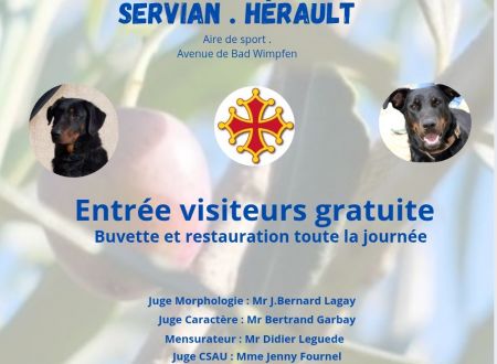 CONCOURS DE CHIENS BEAUCERONS 