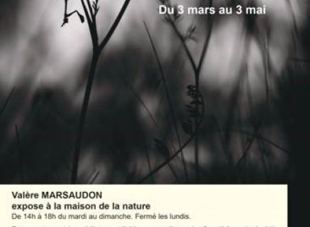 EXPOSITION PHOTOGRAPHIQUE - MAISON DE LA NATURE 