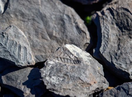 EXPOSITION : GÉOLOGIE ET PAYSAGES : DE LA PLANÈTE À L’HÉRAULT 