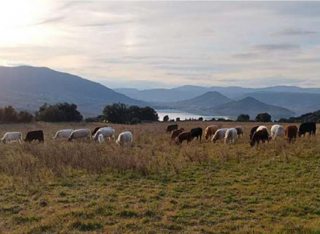 RANDO GOURMANDE SUR LES HAUTEURS DU SALAGOU 