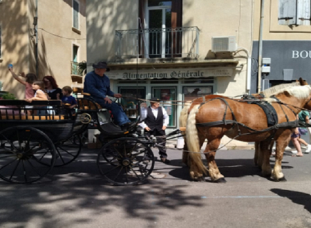 MARCHÉ DES PRODUCTEURS ET CRÉATEURS 