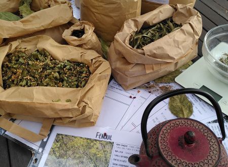 ATELIERS DECOUVERTE DES TISANES 