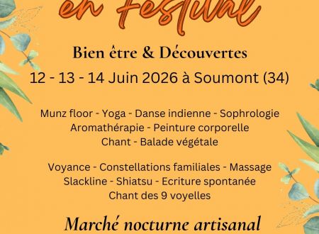 LA CABANE EN FESTIVAL 