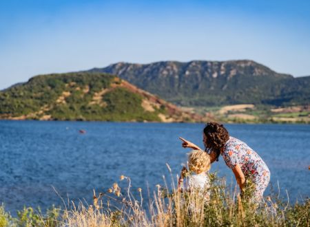 BALADE ORNITHOLOGIQUE 