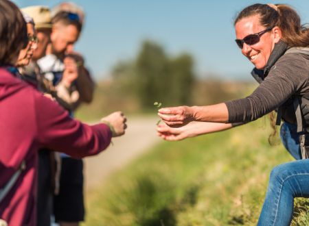 JOURNÉE RANDO – MINERVE 