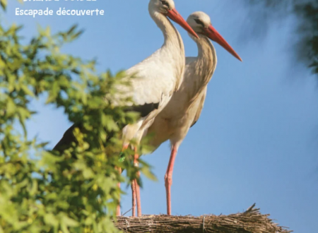 BALADE GUIDÉE : ESCAPADE DÉCOUVERTE 