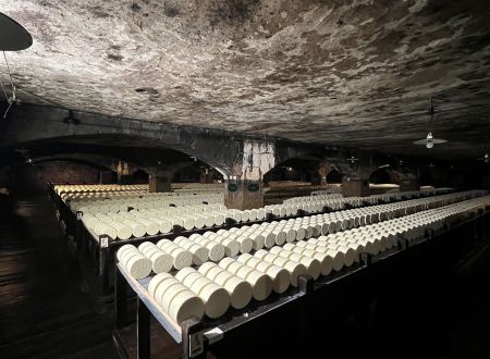 AU CŒUR DU LARZAC : ROQUEFORT, VILLAGE TEMPLIER ET LAC DU SALAGOU AVEC TERRA IMMERS' 
