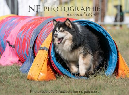 CANIFUN - LE WEEK-END DU CHIEN