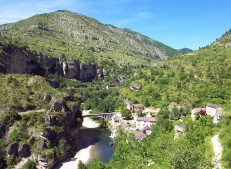 UN ETE AVEC LE PARC : QUEL EST DONC CET OISEAU ? 