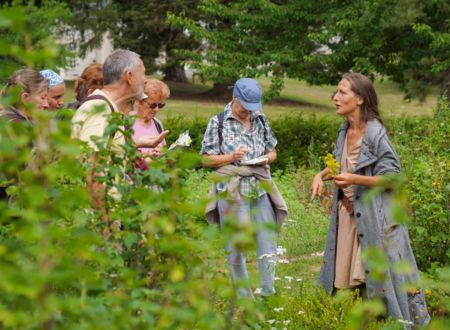 LES SORTIES NATURE - LES PLANTES MÉDICINALES 