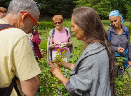 LES SORTIES NATURE - LES PLANTES ET LA SORCELLERIE 