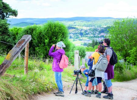 SORTIE NATURE - CRIS ET CHANTS D'OISEAUX 