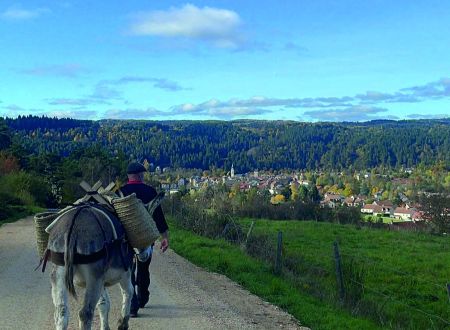SORTIE NATURE : BALADE CONTÉE AVEC UN ÂNE 