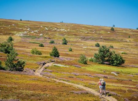 FÊTE DE LA NATURE EN LOZÈRE : LECTURES INSOLITES 